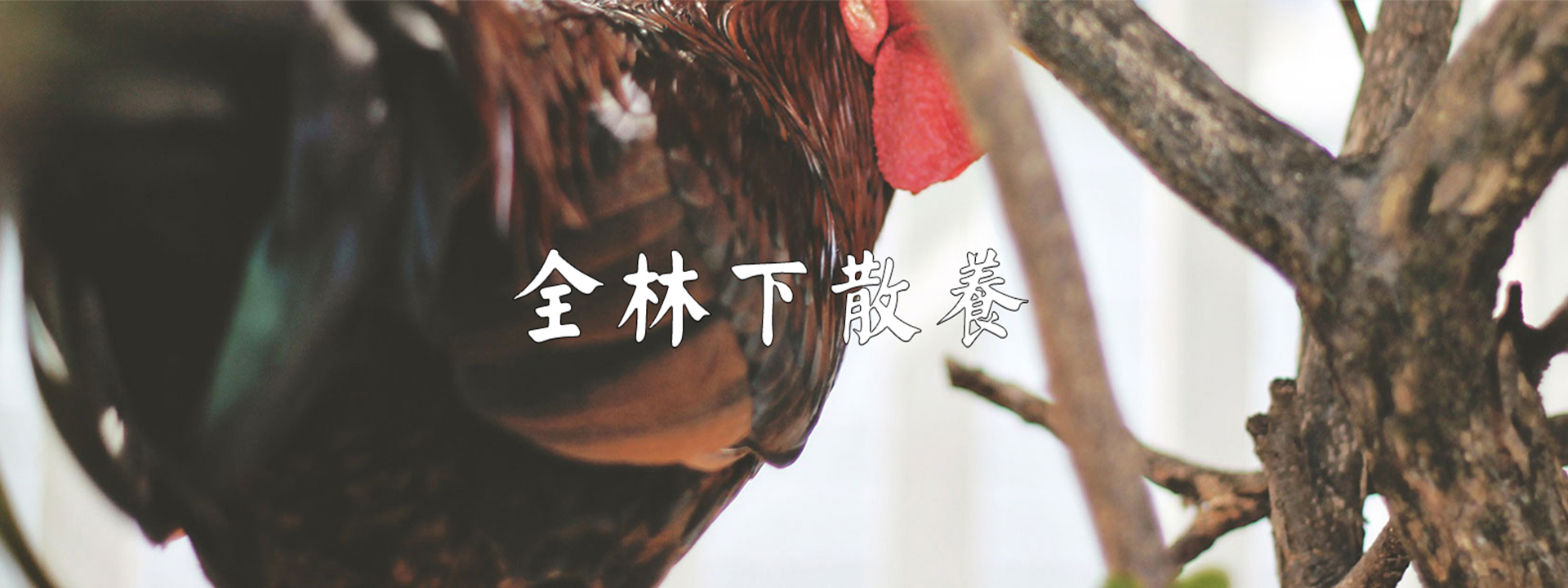 重慶成人抖音在线農產品配送有限公司